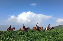 From Bishkek Horse Riding in Arashan Mountains