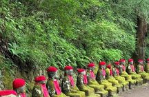 Full Day Private Tour to Nikko with English Speaking Driver