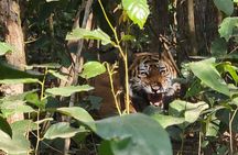 Bardia Tiger Tracking & Wildlife Safari – 4 Nights 5 Days