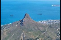 Full Day Cape Point and African Penquins Tour