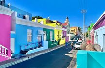 Full Day Cape Point and African Penquins Tour