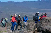8 Days Kilimanjaro Climb Group Joining Tour via the Lemosho Route