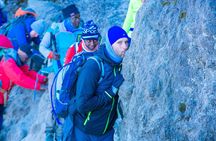 8 Days Kilimanjaro Climb Group Joining Tour via the Lemosho Route