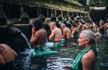 Top Ubud Attractions: Private Full-Day Guided Tour