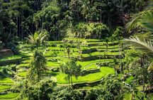 Top Ubud Attractions: Private Full-Day Guided Tour