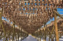 Lofoten Roadtrip Full Day Tour from Svolvaer