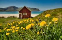 Lofoten Roadtrip Full Day Tour from Svolvaer
