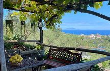 Sorrento Farm and Food Experience including Olive Oil, Limoncello, Wine tasting 