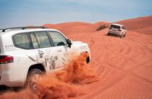 Desert Safari with Professional Photography & Videography Tour 