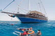 Marsa Alam: Pirates Sailing Boat Cruise to Turtle Bay with Pickup