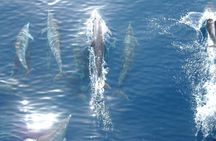 From Rhodes: Small-Group Cruise with Lunch & Drinks