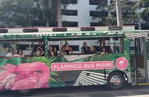 Miami Bus Tours: Flamingo Open-Air Trolley Sightseeing City Tour