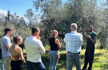 The Olive Oil Experience @ Lefkada Micro Farm