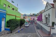 Table Mountain Penguins Cape of Good Hope Adventure Shared Tour