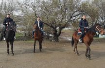 From Bishkek Horse Riding in Arashan Mountains