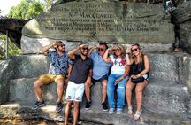 Best of Sydney Private Tour: Wildlife, Icons & Bondi Lunch