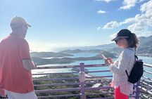 Luxury Private Tour in ST.Thomas(6per group)