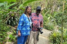 Best Jeep Tour of ST.Thomas Virgin Islands