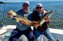  Fishing Adventures Anna Maria Island Florida