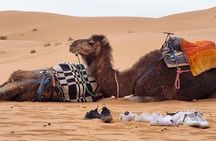 4 Days Tours of Morocco From Marrakech to Merzouga 