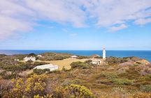Southern Peninsula Coast Discovery Tour from Melbourne