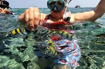 Rosario Islands and Playa Blanca Tour with Snorkeling or Aquarium