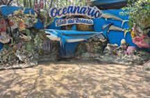 Rosario Islands and Playa Blanca Tour with Snorkeling or Aquarium