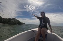 Rosario Islands and Playa Blanca Tour with Snorkeling or Aquarium