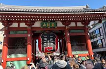 Tokyo Private Full-Day Tour by Car with Local Guide