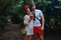 Jozani Forest Spice Farm Stone Town and Forodhani Night Market