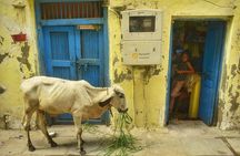 Heritage Walking Tour in Ahmedabad for an Immersive Experience