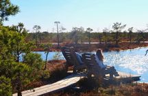 Jurmala and Kemeri National Park Tour with pick-up