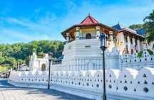 6 Days Tour of Sri Lanka 
