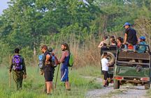 3 Day Chitwan National Park, Jungle Safari Package all Inclusive