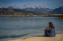 Arctic Fjord Roadtrip with Scenic Picnic from Tromso