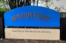 Appleton Estate Rum Tasting and YS Falls 