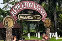 Appleton Estate Rum Tasting and YS Falls 