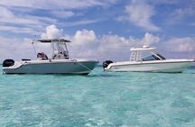 Stingray Snorkel