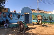 Luxury Boat Nubian village Botanical Garden Tombs of Nobles 