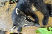 DAYTOUR Iguacu Falls Brazil and Argentina PRIVATE