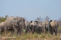 4 Days Adventurous Wildlife Safari 
