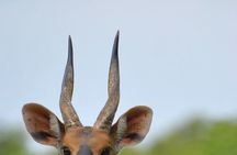 4 Days Adventurous Wildlife Safari 