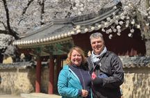[Hotel Pick-up] Gyeongju UNESCO Private Tour with Local Guide