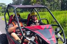 Private Bali UTV Adventure 