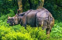 Chitwan Jungle Safari Escape: 3 Days from Kathmandu or Pokhara