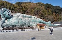 Fukuoka: Nanzoin Temple and Reclining Buddha Guided Tour