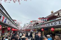 Discover the hidden gems of Tokyo:Private Tour with a Local Guide