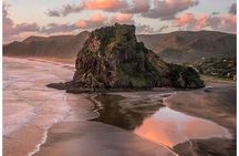 Private Piha Beach, Rainforest Adventure & Mt. Eden with Guide