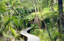 Private Piha Beach, Rainforest Adventure & Mt. Eden with Guide