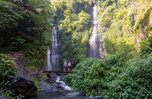Explore Bali's Largest Waterfalls Day Trip with Lunch